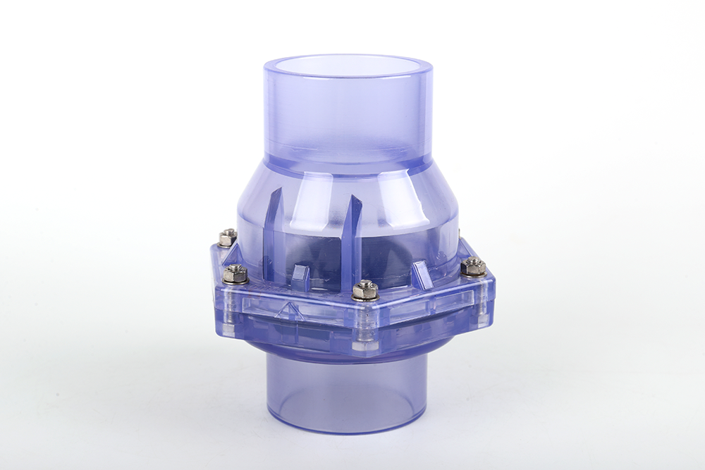 郸城透明翻板式止回阀